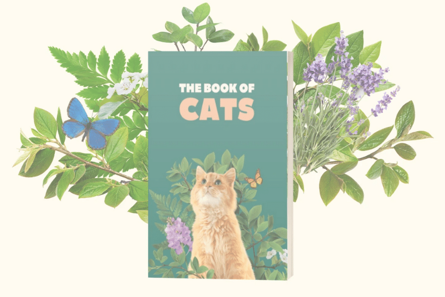 Sneak Peek: The Book of Cats