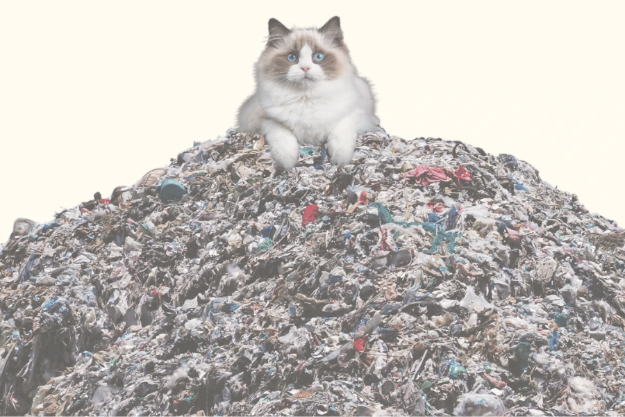 Cat Litter and the Environment