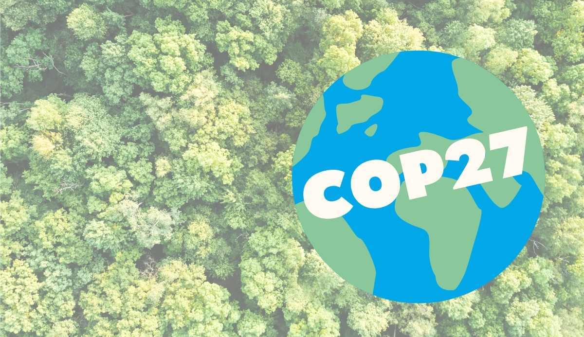 What is COP27? The 2022 Climate Change Conference