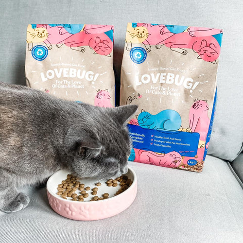 LOVEBUG COMPLETE INSECT BASED ADULT DRY CAT FOOD