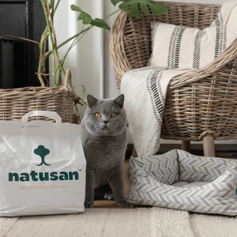 Cozy Kit Natusan Cat Litter And Project Blu Eco-Friendly Nest Cat Bed (XS) Bundle