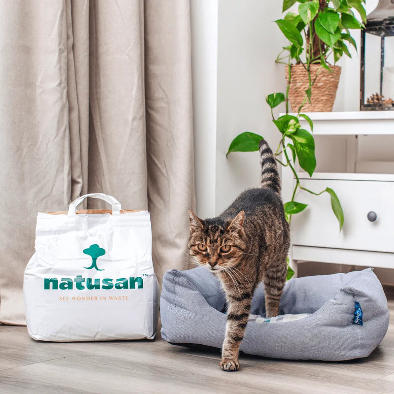 Cozy Kit Natusan Cat Litter And Project Blu Eco-Friendly Nest Bed (XS) Bundle