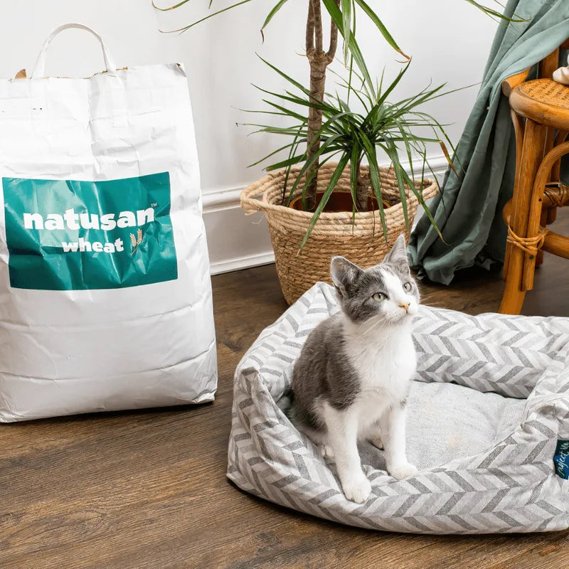 Kitten Starter Kit - Natusan Wheat Litter And Project Blu Eco-Friendly Grey Patterned Nest Bed (XS) Bundle