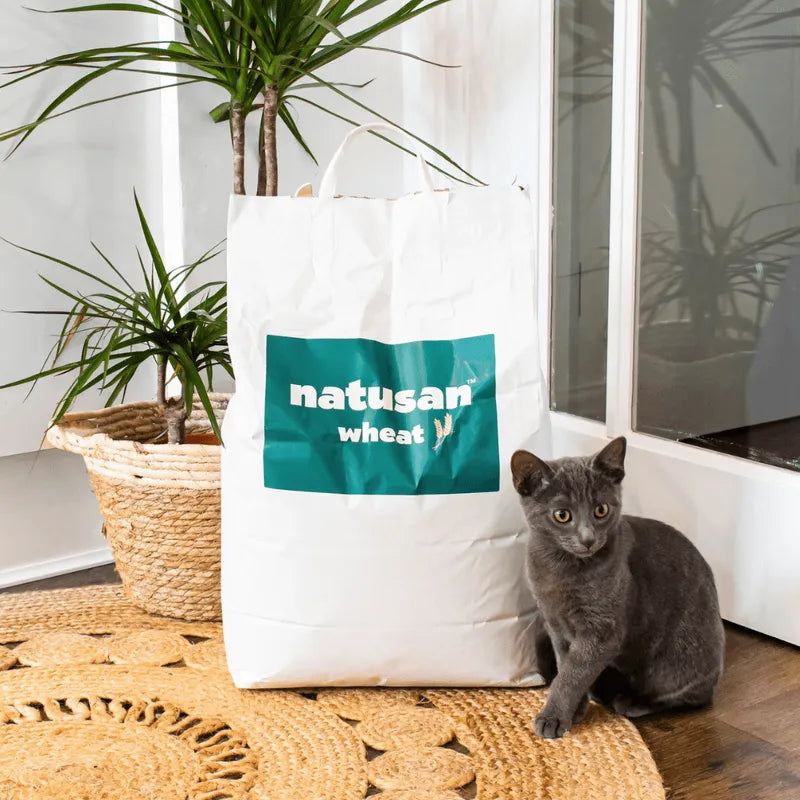 Kitten Starter Kit - Natusan Wheat Litter 20L