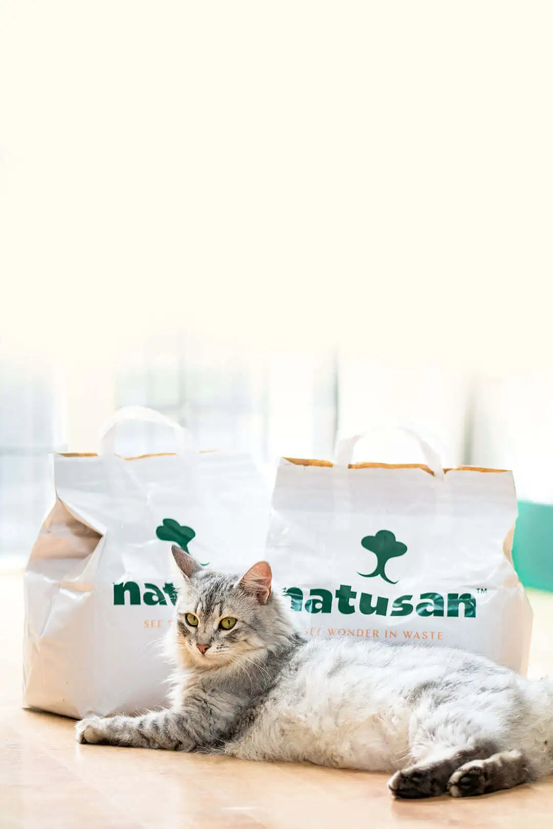 HOW TO STOP CAT LITTER TRACKING – Natusan