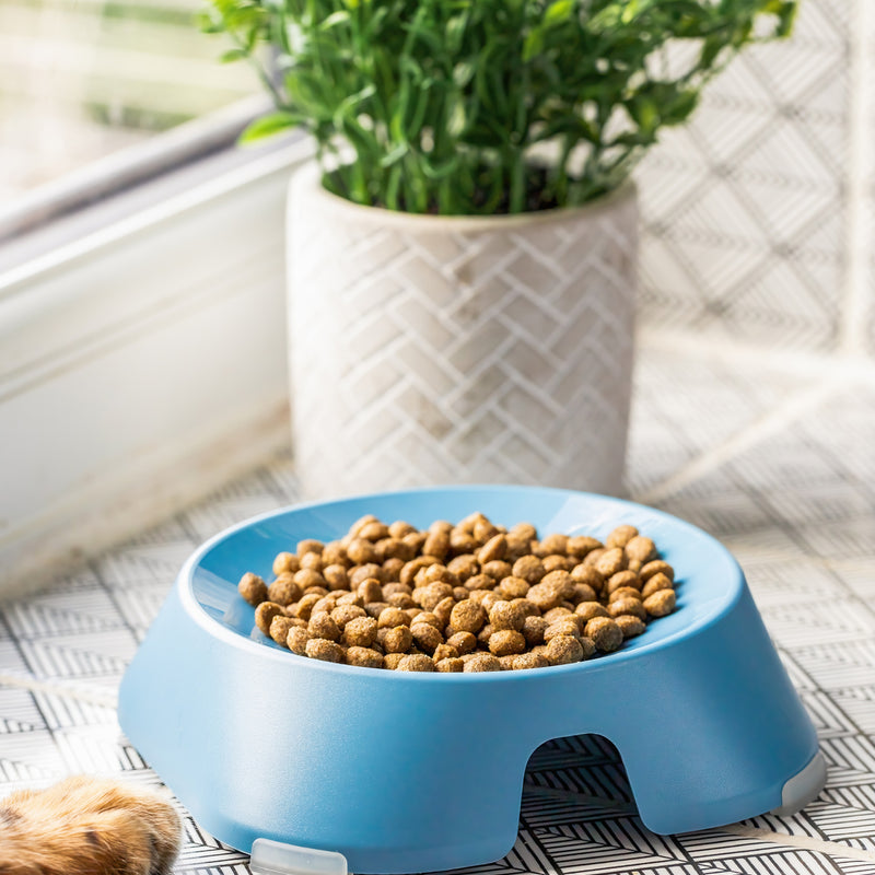 Fiboo Flat Pet Food Bowl